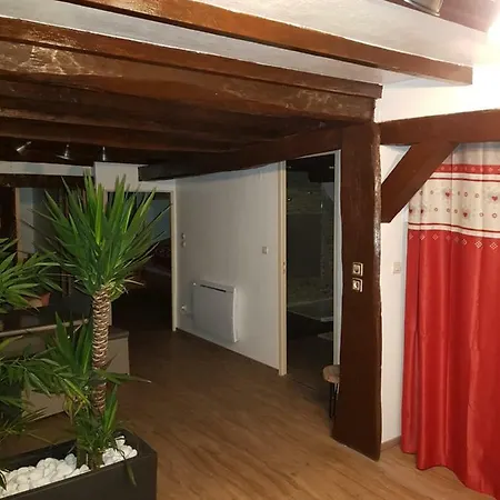 Apartment Erbrech Organisation