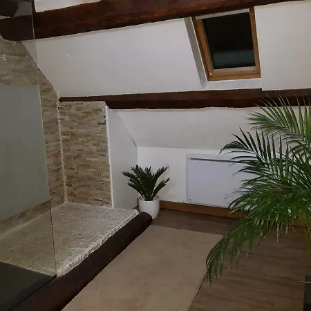 Apartment Erbrech Organisation *